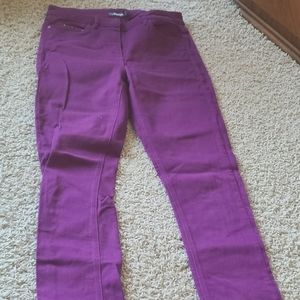 Long Tall Sally Aubergine stretch jeans